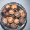 Épice rondelle 100g