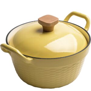 Casserole antiadhésif de 2L dont 22cm avec couvercle en fonte Casserole à pâtes en fonte avec double poignée